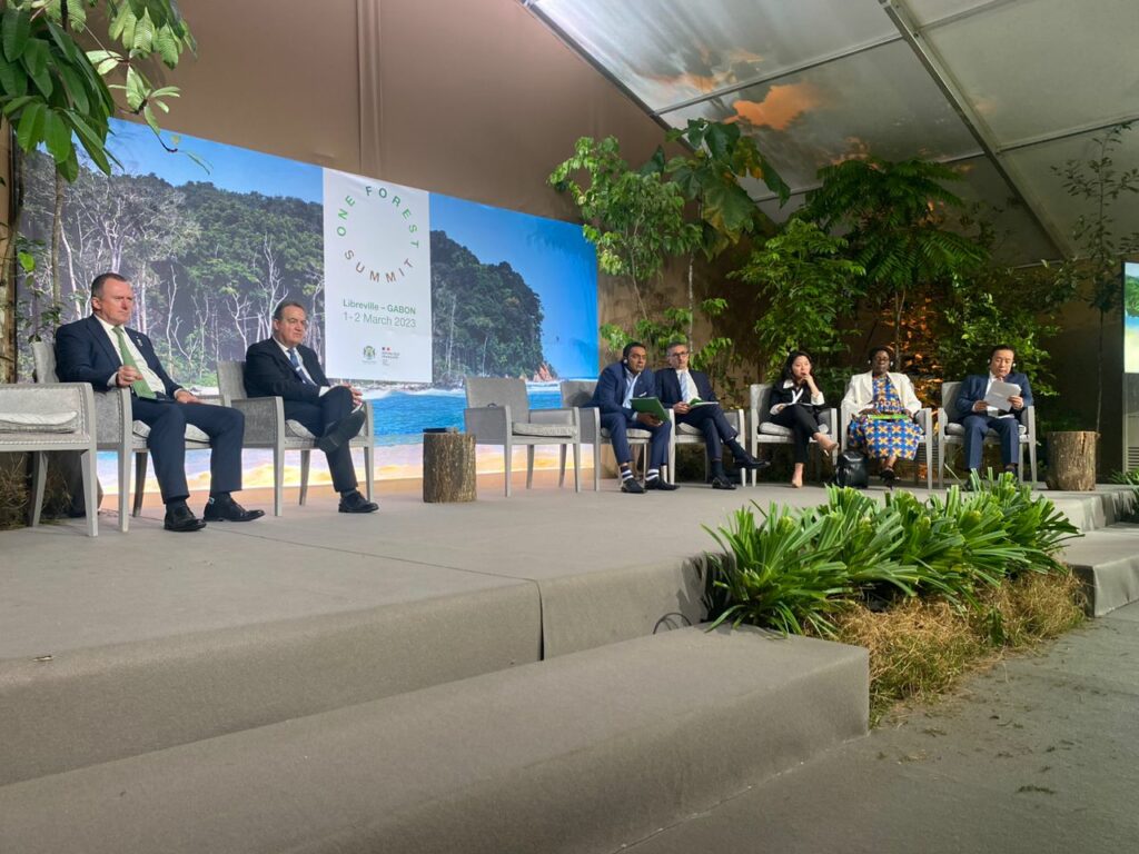 « One Forest Summit » Jumeler la biodiversité et les crédits carbone