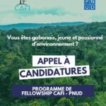 Appel à candidatures : programme de Fellowship CAFI-PNUD