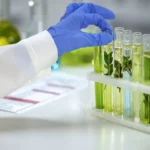 Gabon : Un laboratoire vivant pour l’agriculture