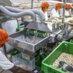 La transformation locale, levier de souveraineté économique