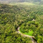 Gabon : Taxe sur la protection de l’environnement