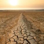 Sept façons de restaurer les terres, stopper la désertification et combattre la sécheresse