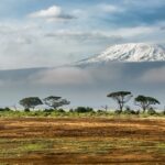 Réchauffement climatique : les glaciers d’Afrique ont presque disparu