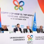COP17 sur la biodiversité : Erevan accueille le premier bilan mondial du cadre de Kunming-Montréal